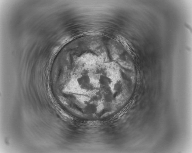 X0000094950145200712201145