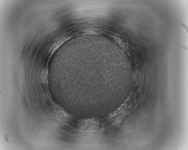 X0000094950146200712201145