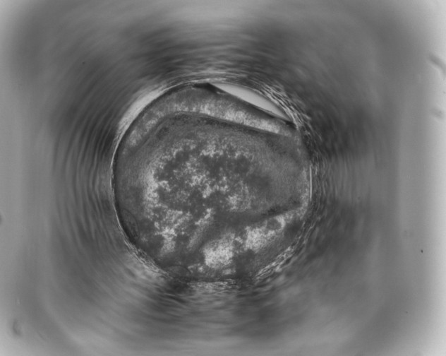 X0000094950147200712201145