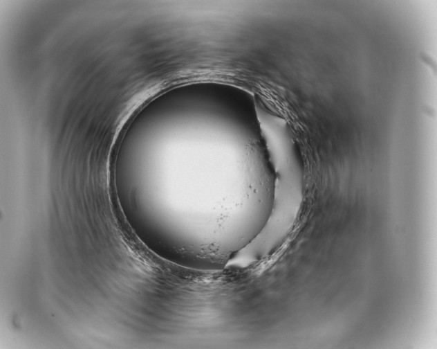 X0000094950148200712201145