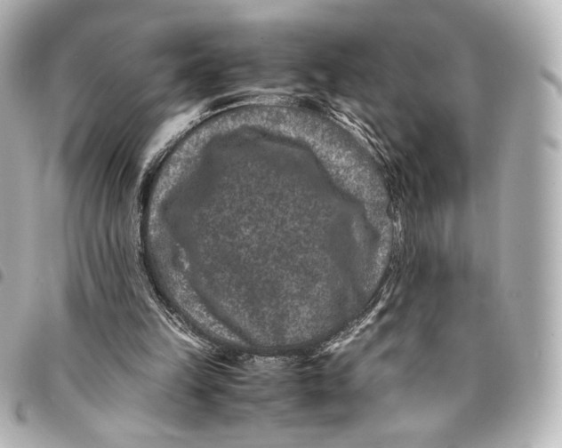 X0000094950149200712201145