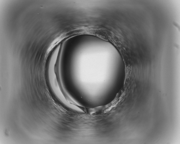 X0000094950150200712201145