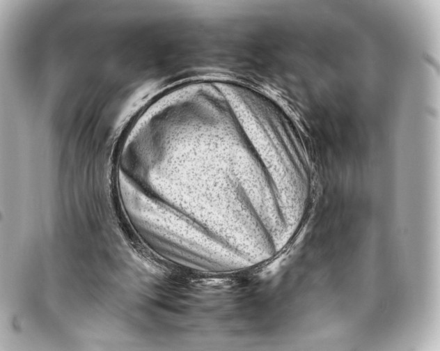 X0000094950151200712201145