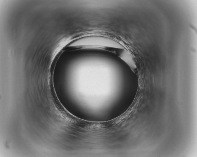 X0000094950152200712201145