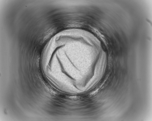 X0000094950153200712201145