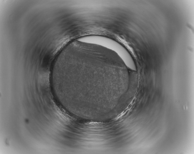 X0000094950154200712201145