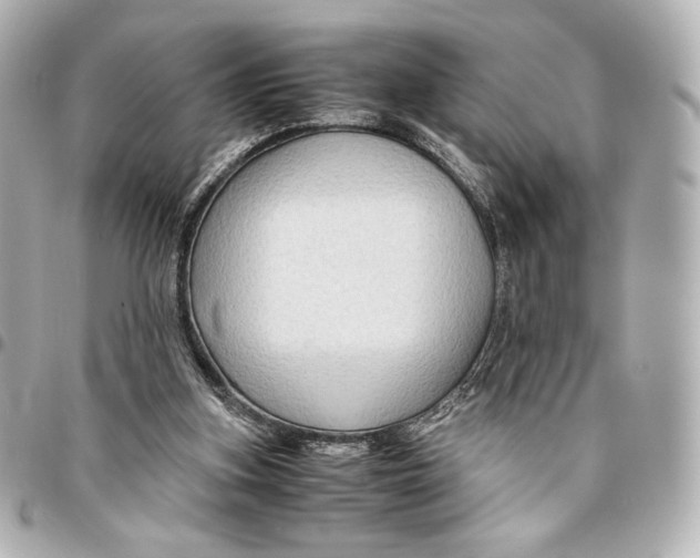 X0000094950155200712201145