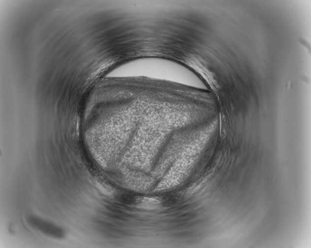 X0000094950157200712201145