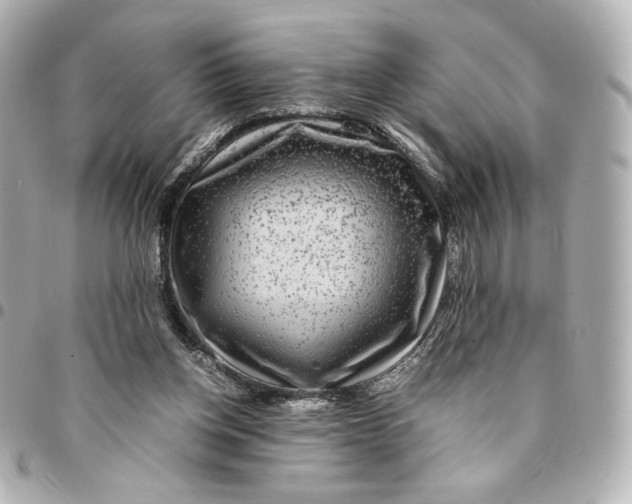 X0000094950158200712201145