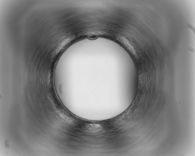 X0000094950159200712201145