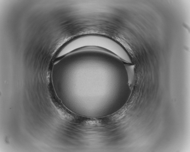 X0000094950160200712201145