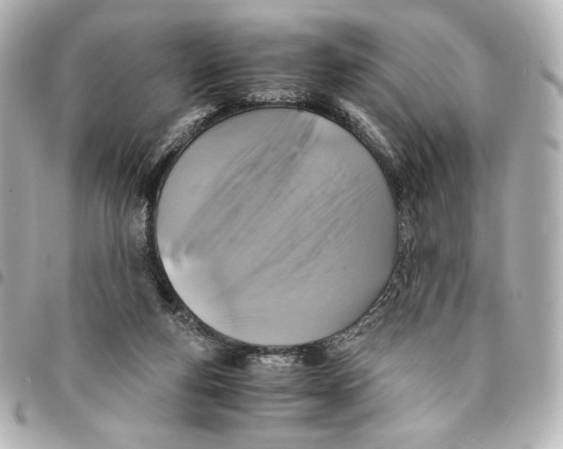 X0000094950163200712201145