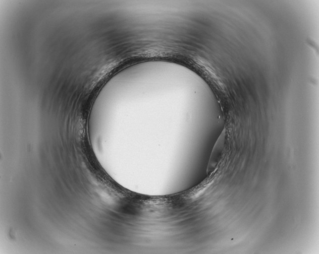 X0000094950164200712201145