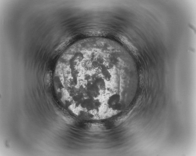 X0000094950165200712201145