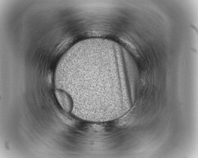 X0000094950166200712201145