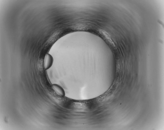 X0000094950167200712201145