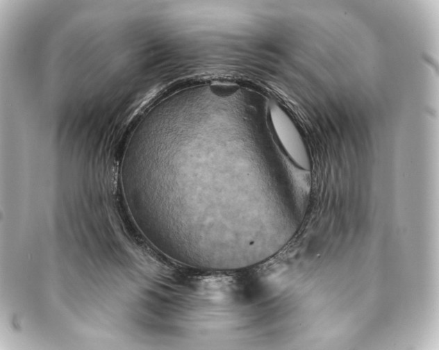 X0000094950168200712201145