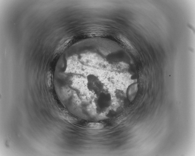 X0000094950169200712201145