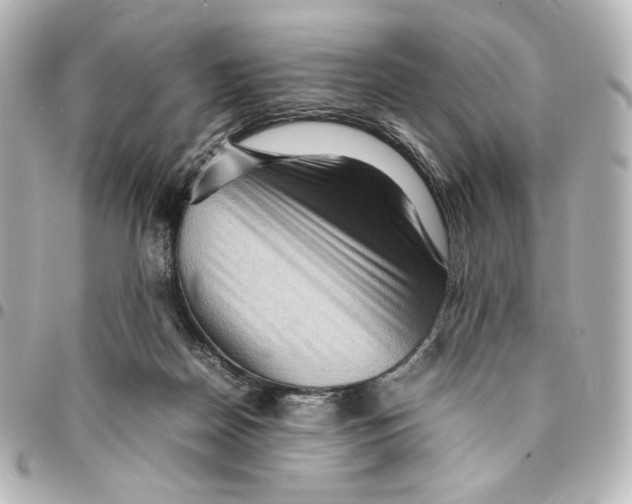 X0000094950170200712201145