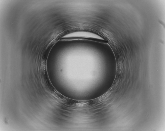 X0000094950172200712201145