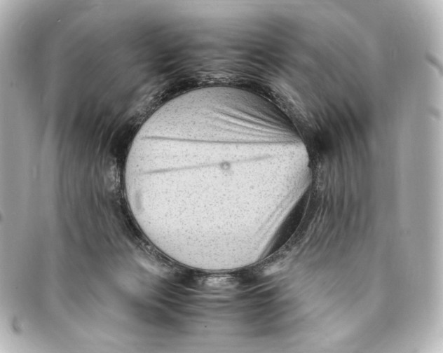 X0000094950173200712201145