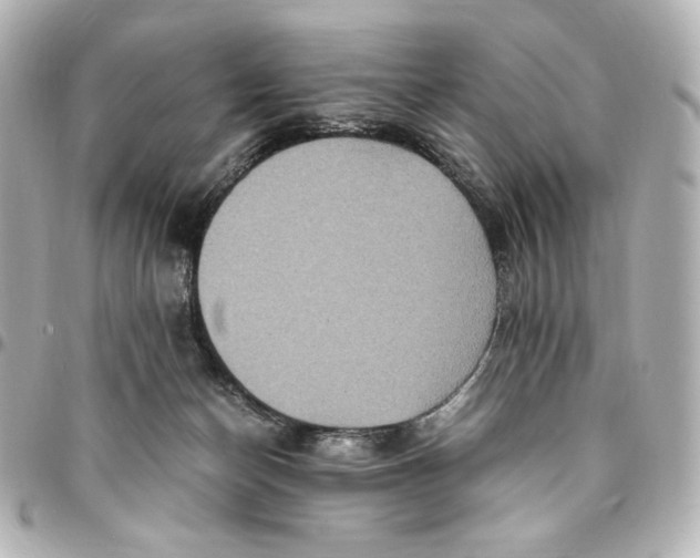 X0000094950174200712201145