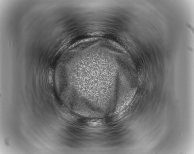 X0000094950175200712201145