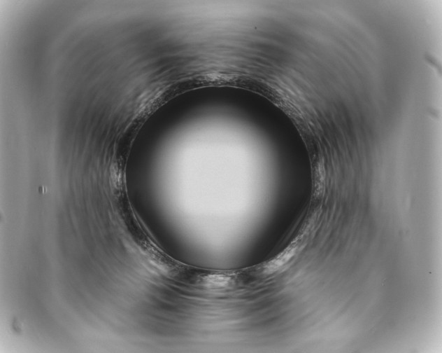 X0000094950176200712201145