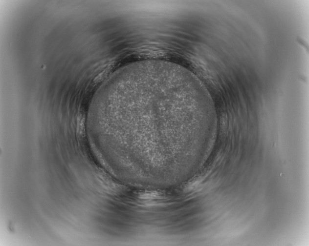 X0000094950177200712201145