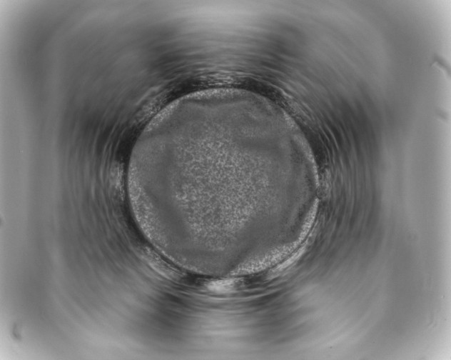 X0000094950178200712201145