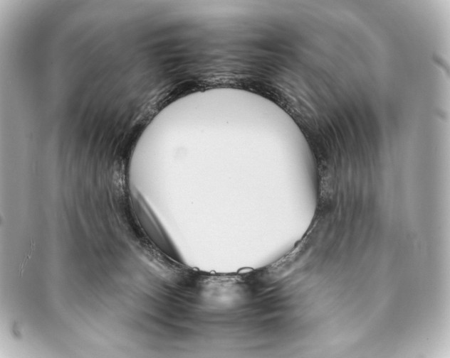 X0000094950179200712201145