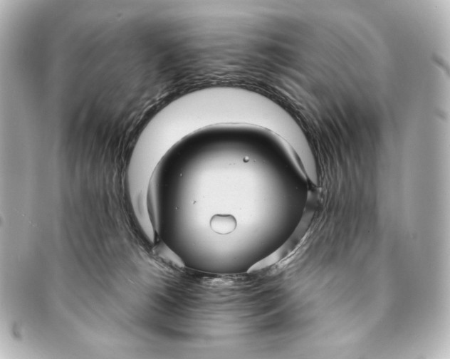 X0000094950180200712201145