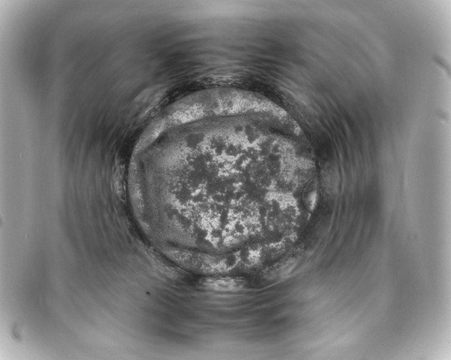 X0000094950181200712201145