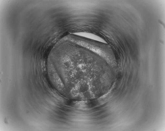 X0000094950182200712201145