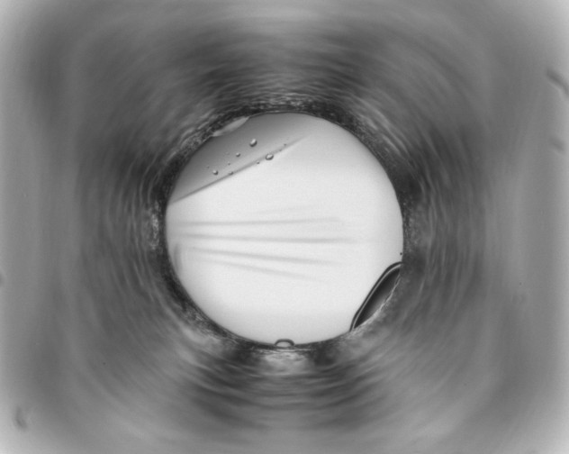 X0000094950183200712201146