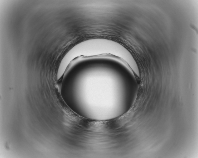 X0000094950184200712201146