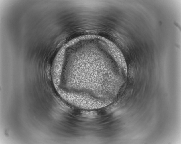 X0000094950185200712201146