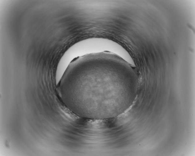 X0000094950186200712201146