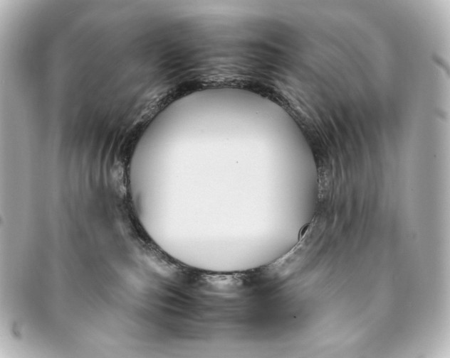 X0000094950187200712201146