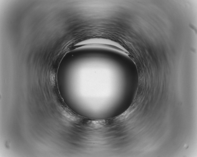 X0000094950188200712201146