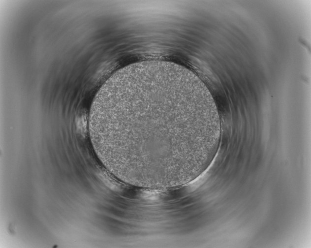 X0000094950190200712201146