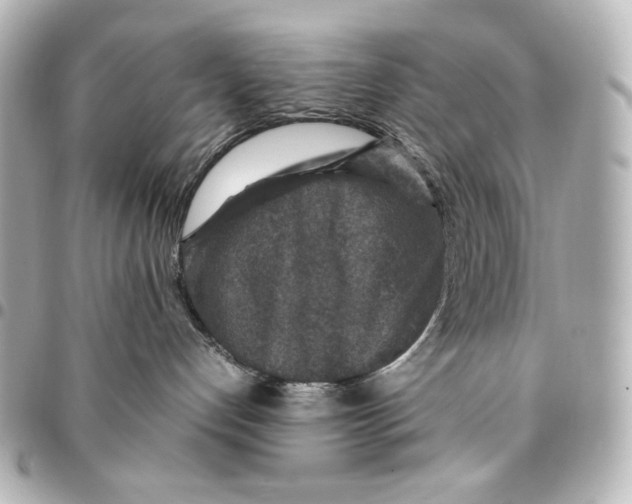 X0000094950192200712201146