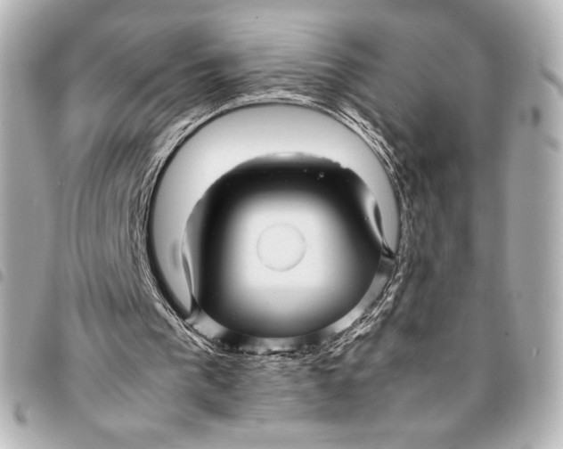 X0000094950193200712201145