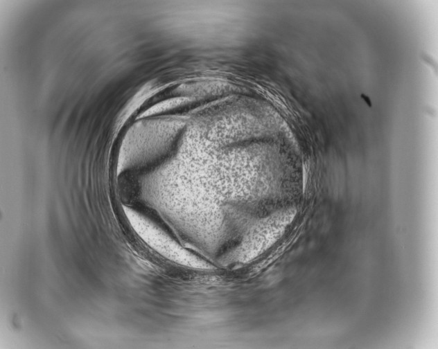 X0000094950195200712201145