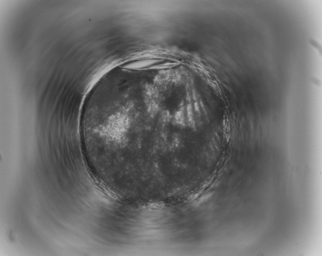 X0000094950196200712201145