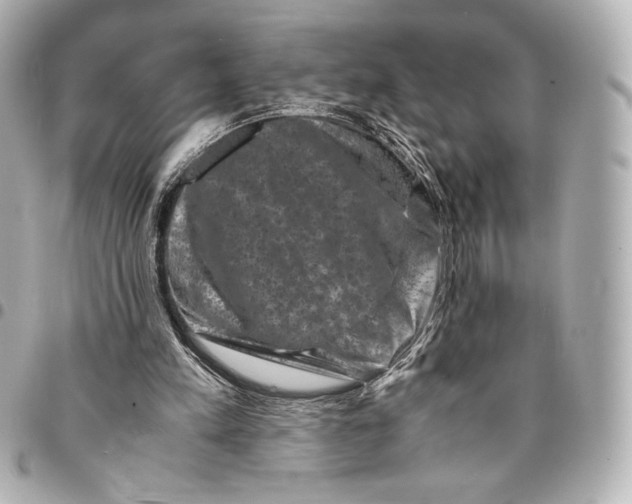 X0000094950197200712201145