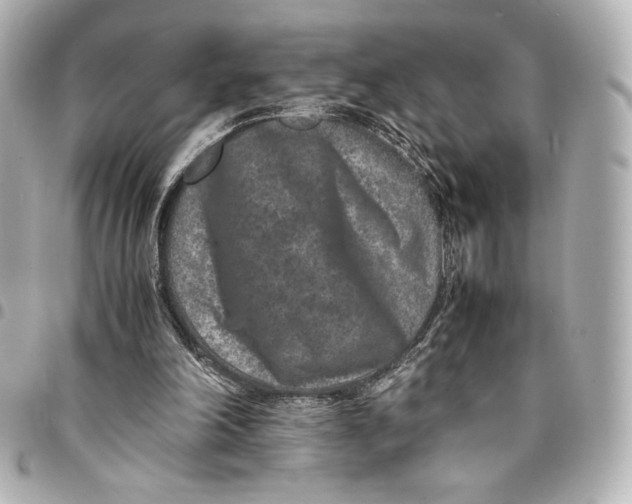 X0000094950198200712201145