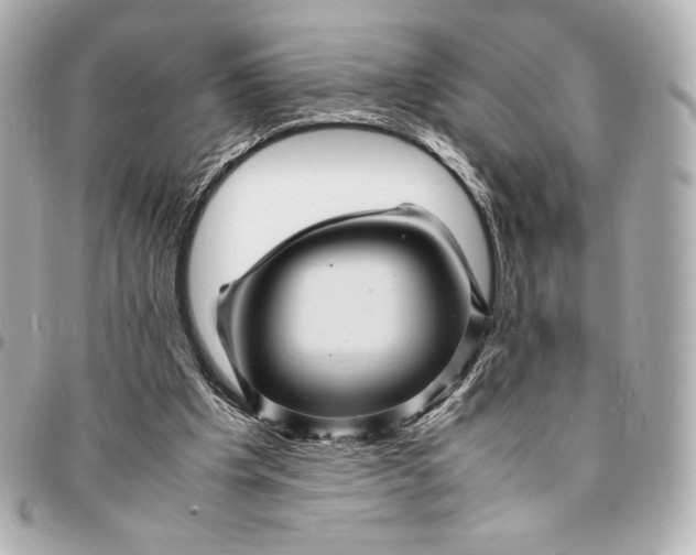 X0000094950201200712201145