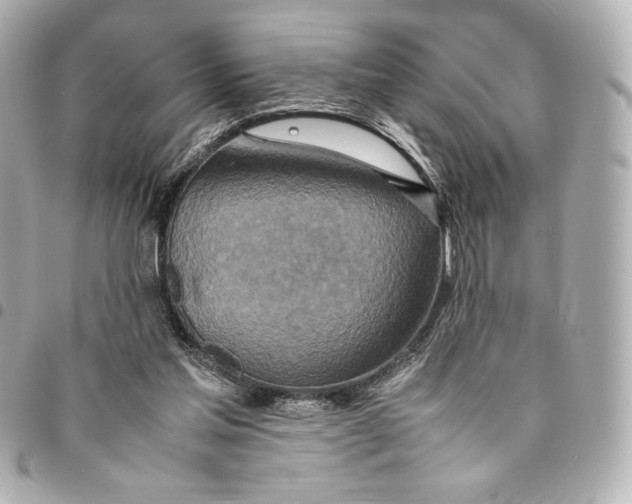 X0000094950205200712201145