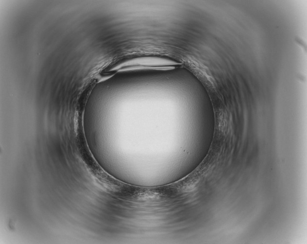 X0000094950206200712201145